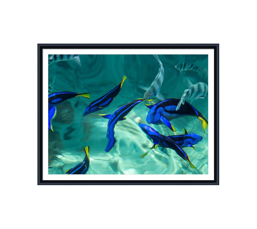 152 black wooden frame