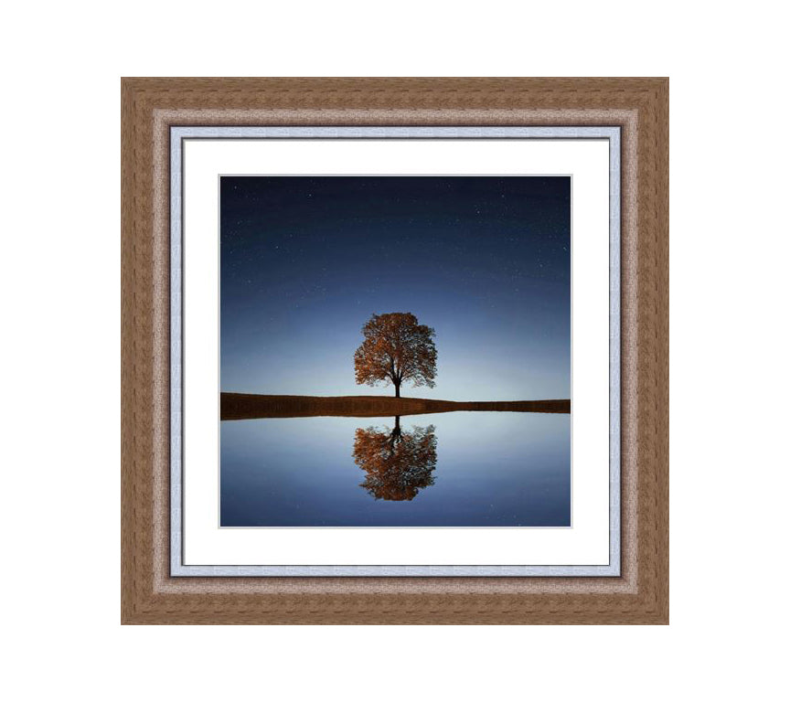 304 Brown wooden frame