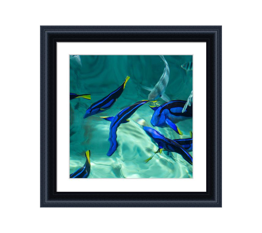 152 black wooden frame