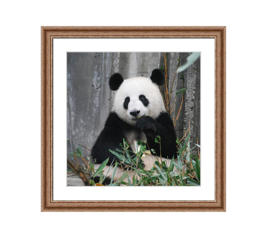 102 brown wooden frame