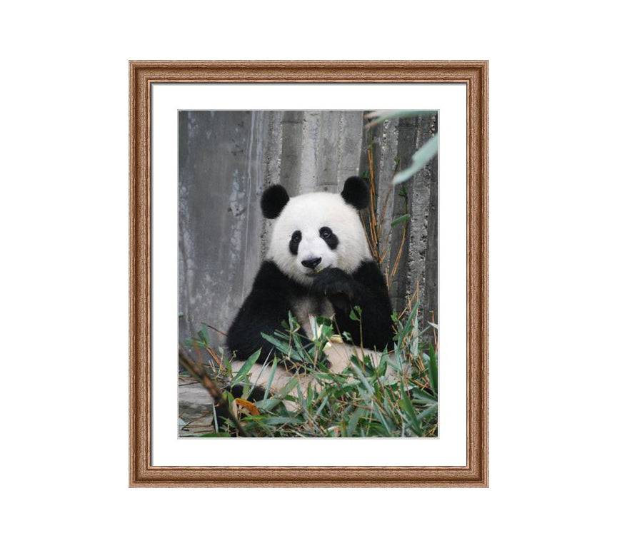 102 brown wooden frame