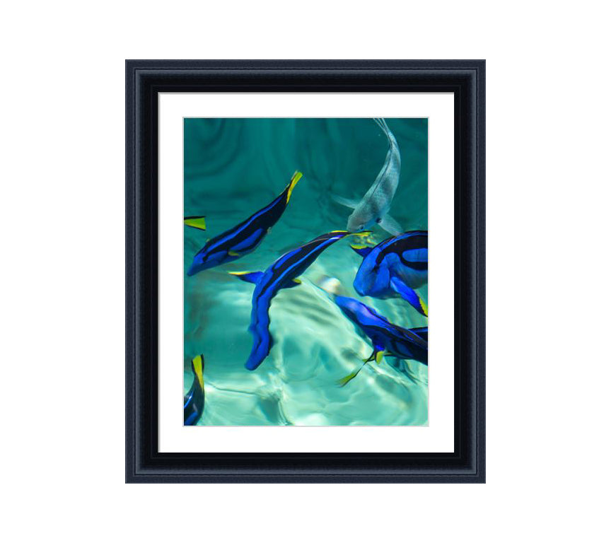 152 black wooden frame