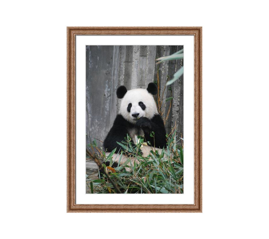 102 brown wooden frame