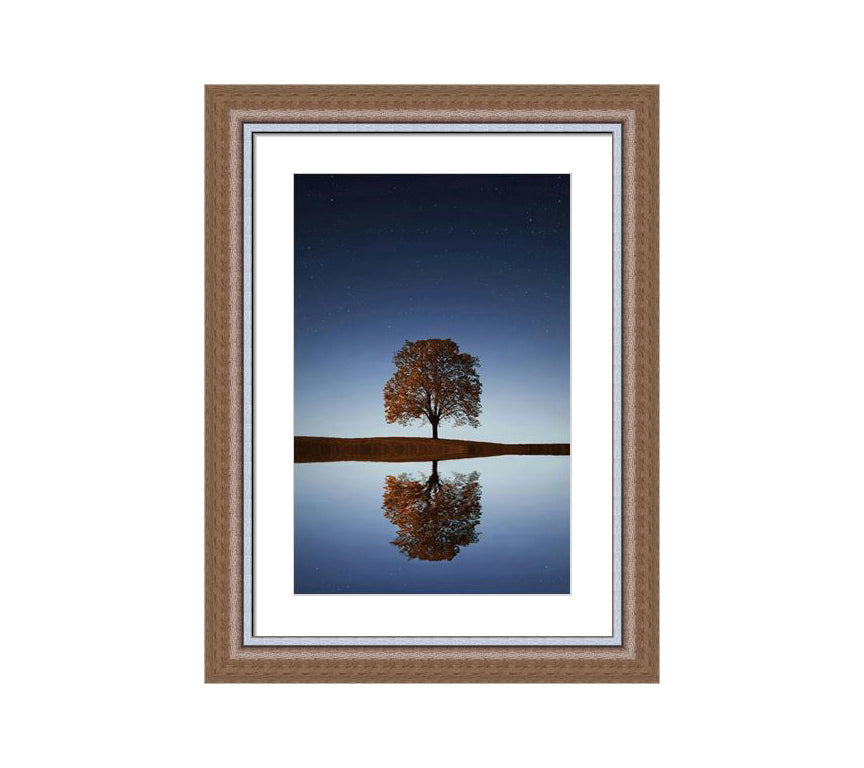 304 Brown wooden frame