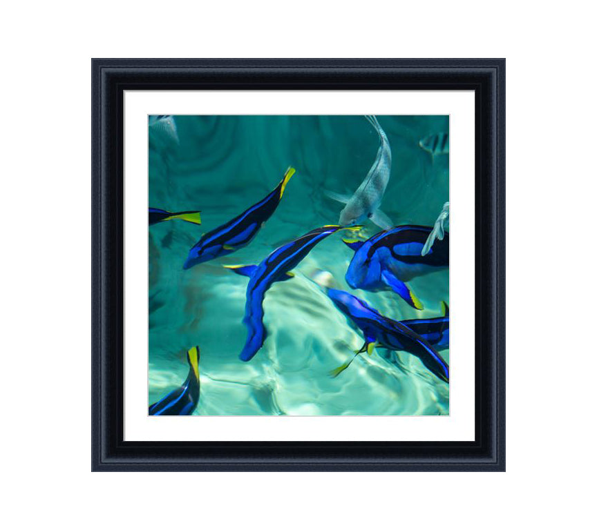 152 black wooden frame