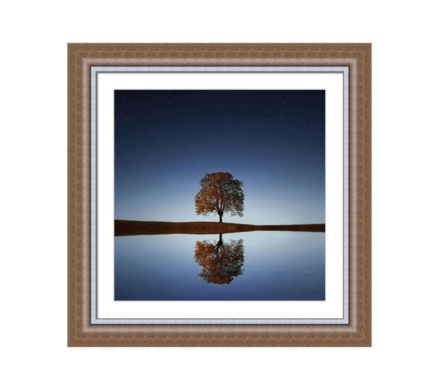 304 Brown wooden frame