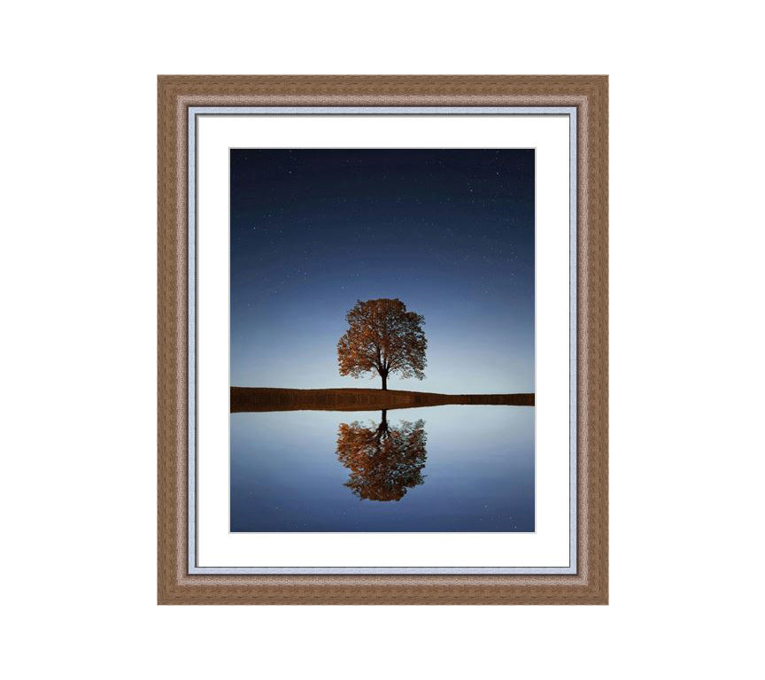 304 Brown wooden frame