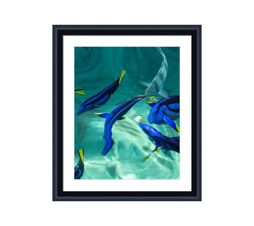 152 black wooden frame