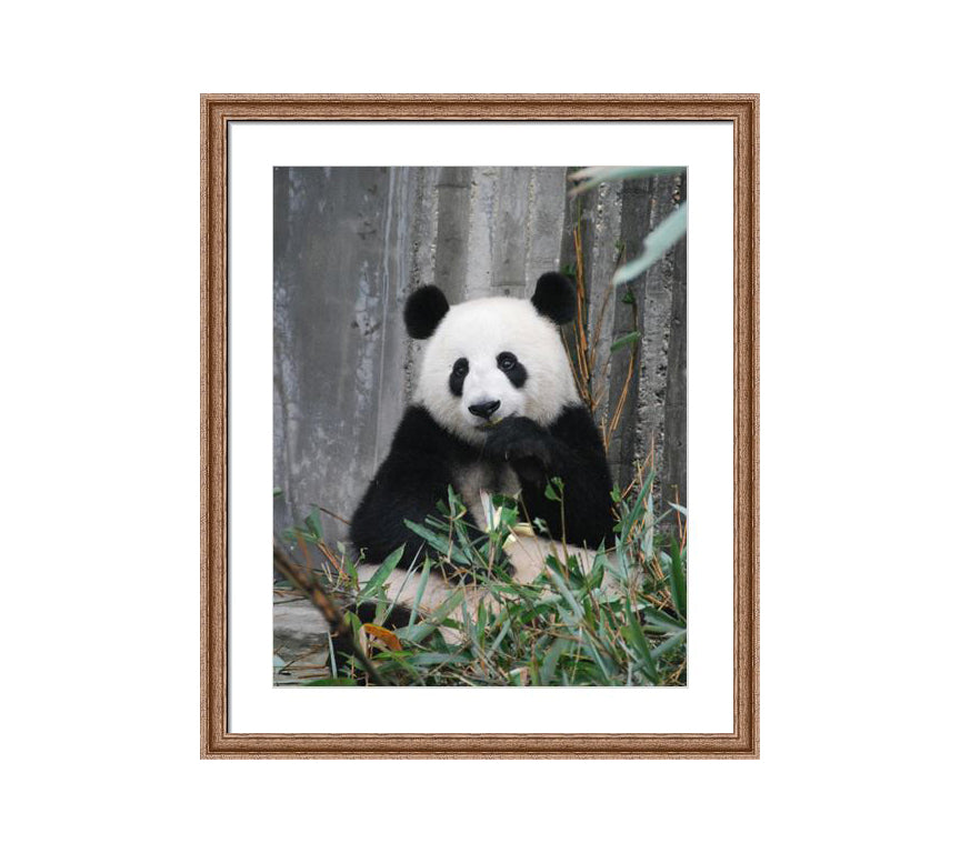 102 brown wooden frame