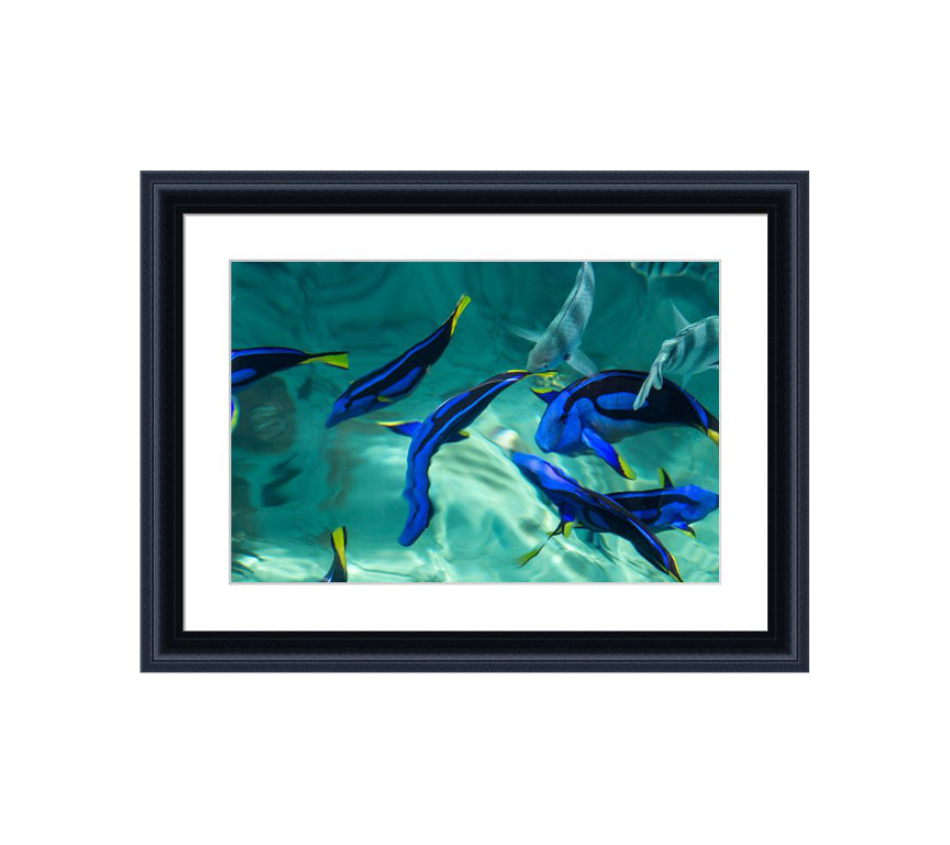 152 black wooden frame