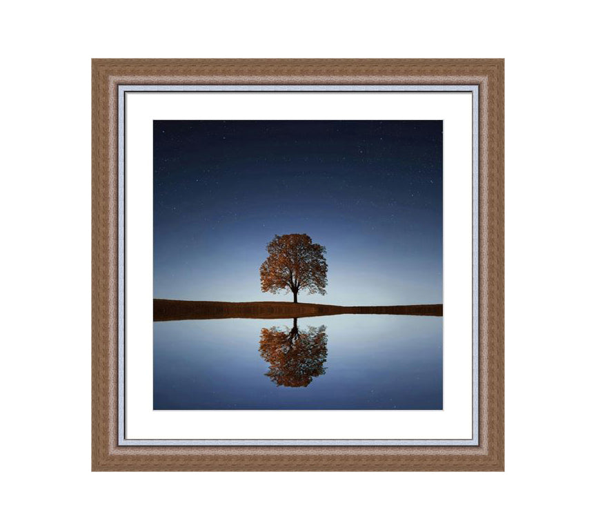 304 Brown wooden frame