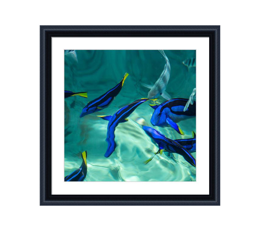 152 black wooden frame