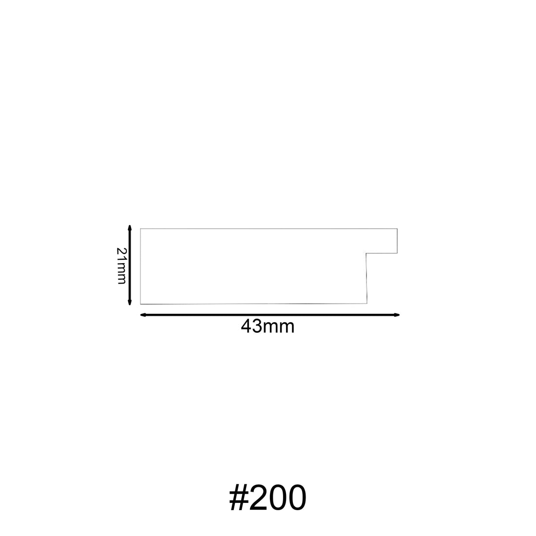 200 molding