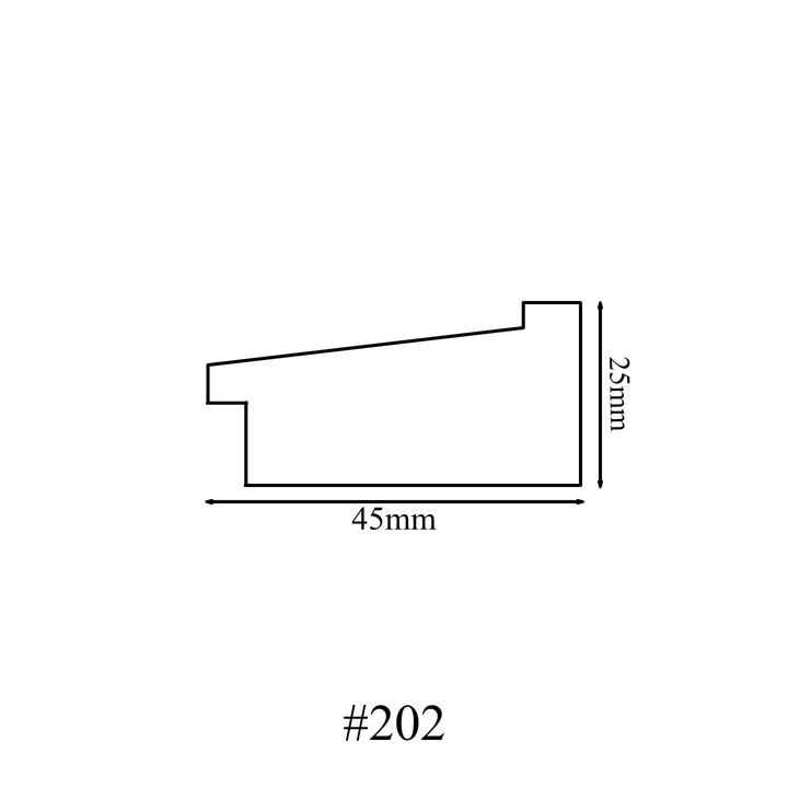 202 molding