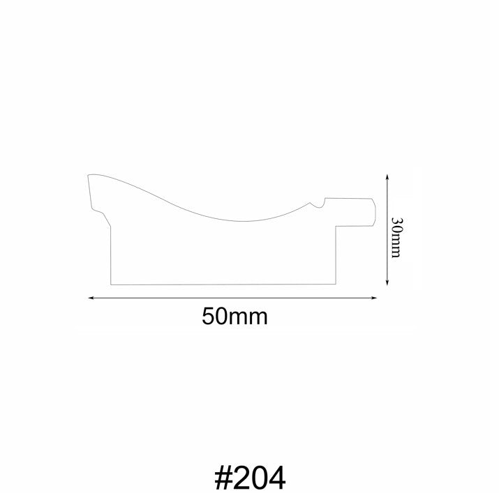 204 molding