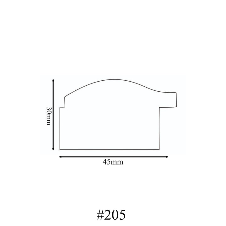 205 molding