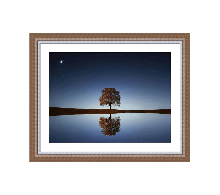 304 Brown wooden frame