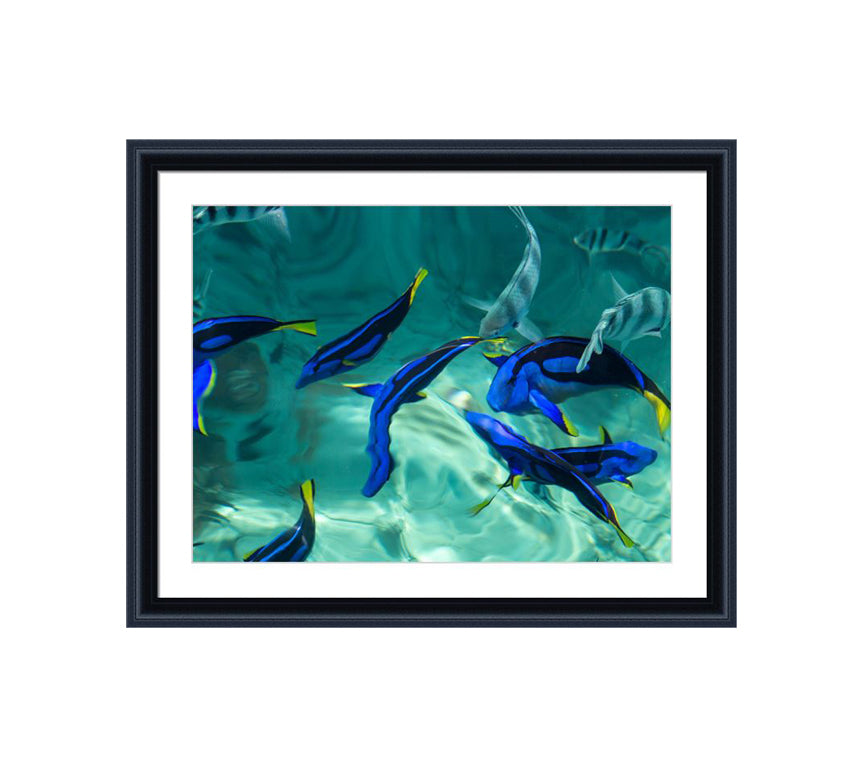 152 black wooden frame