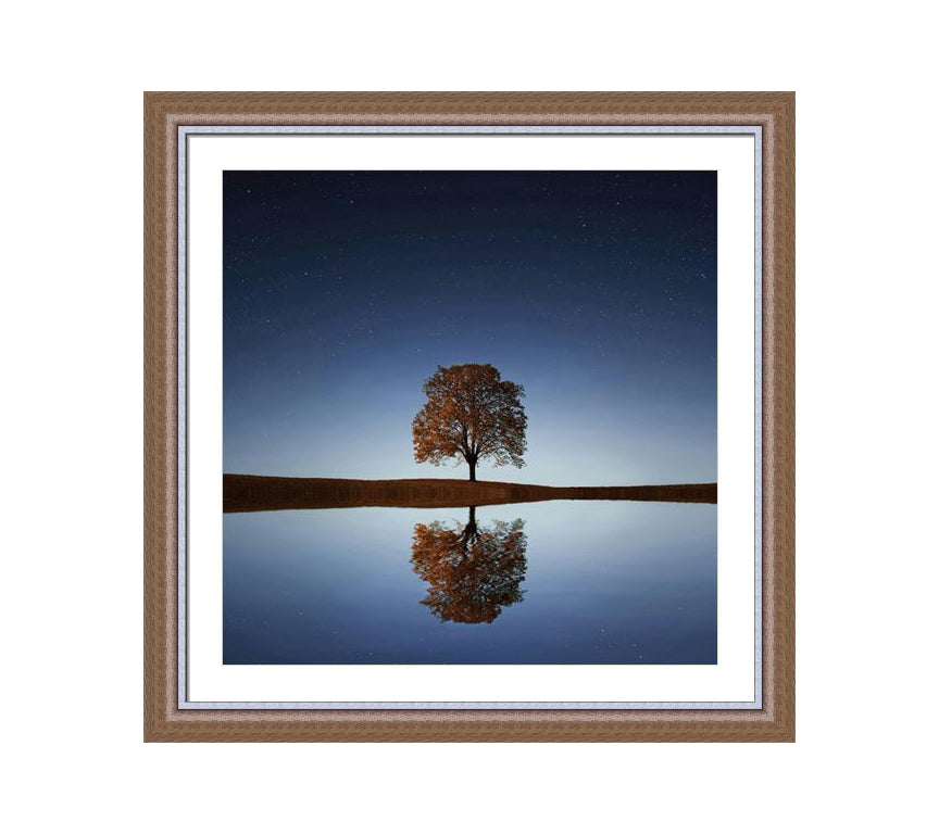 304 Brown wooden frame