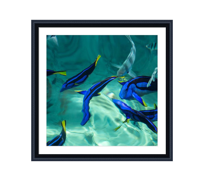 152 black wooden frame