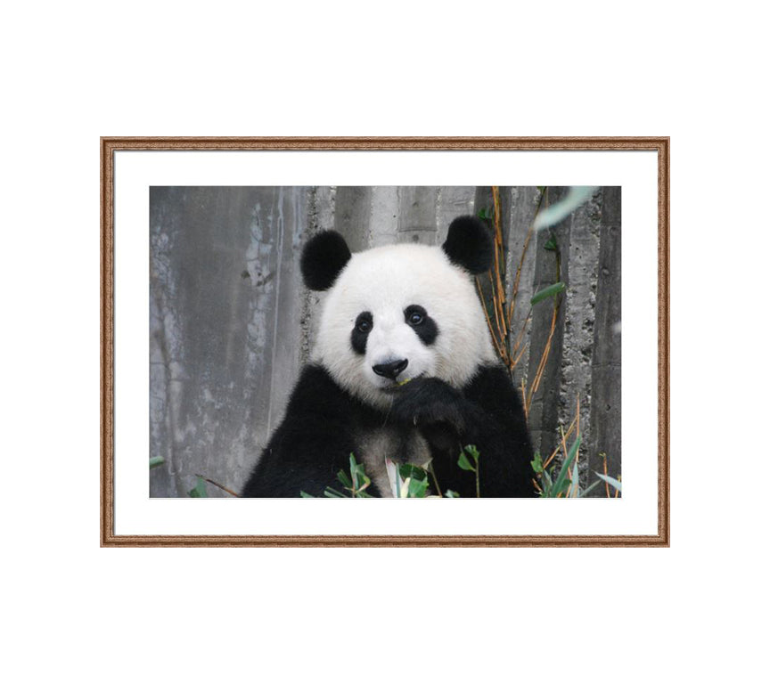 102 brown wooden frame