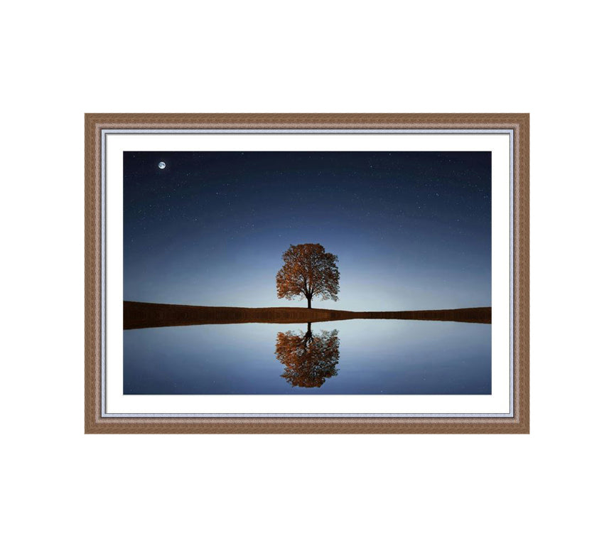 304 Brown wooden frame