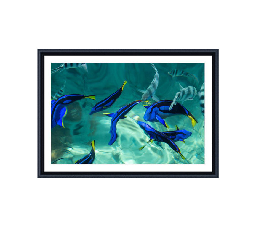 152 black wooden frame