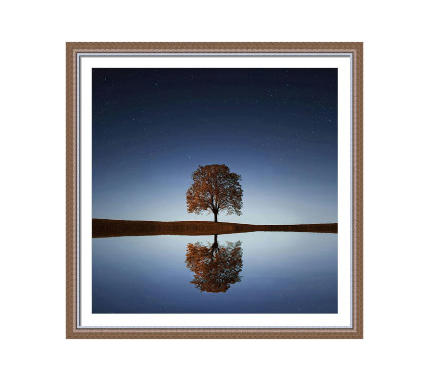 304 Brown wooden frame