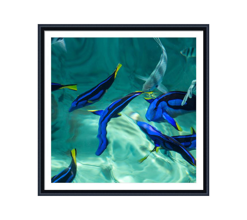 152 black wooden frame