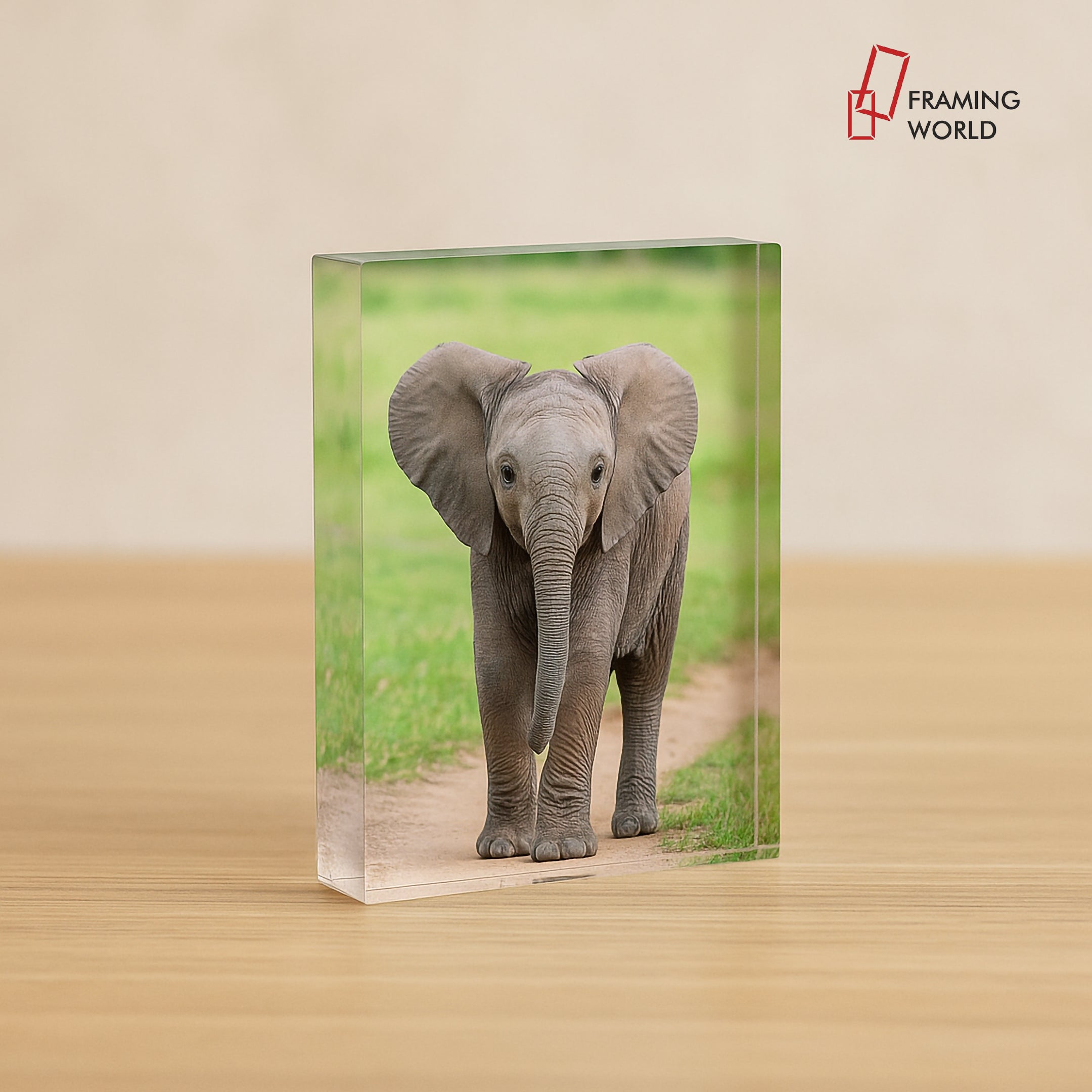 Mini acrylic printing