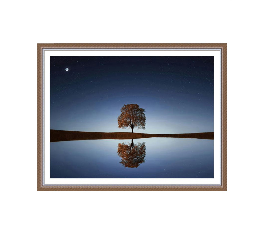 304 Brown wooden frame