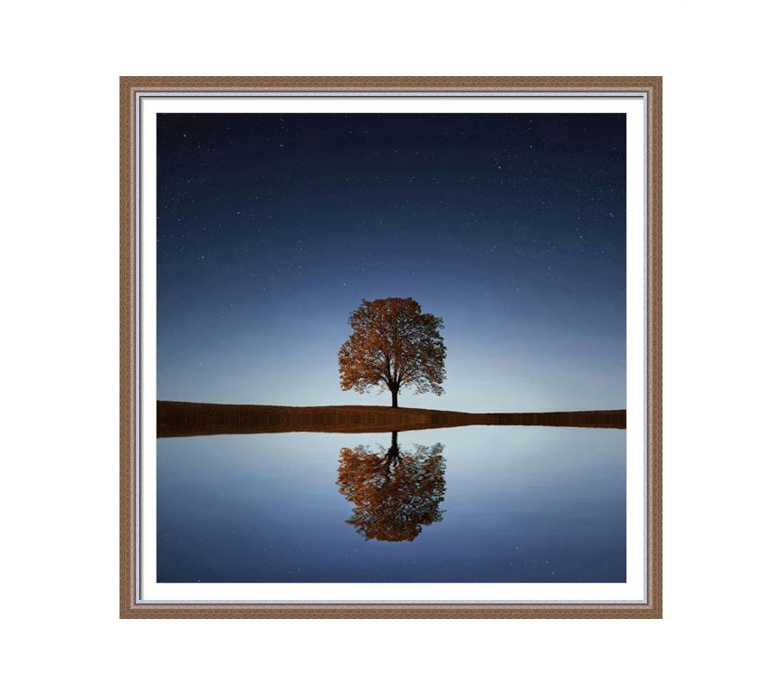 304 Brown wooden frame