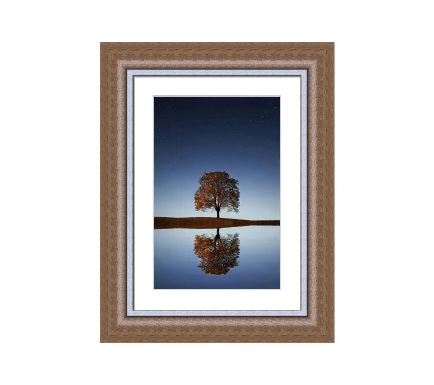 304 Brown wooden frame