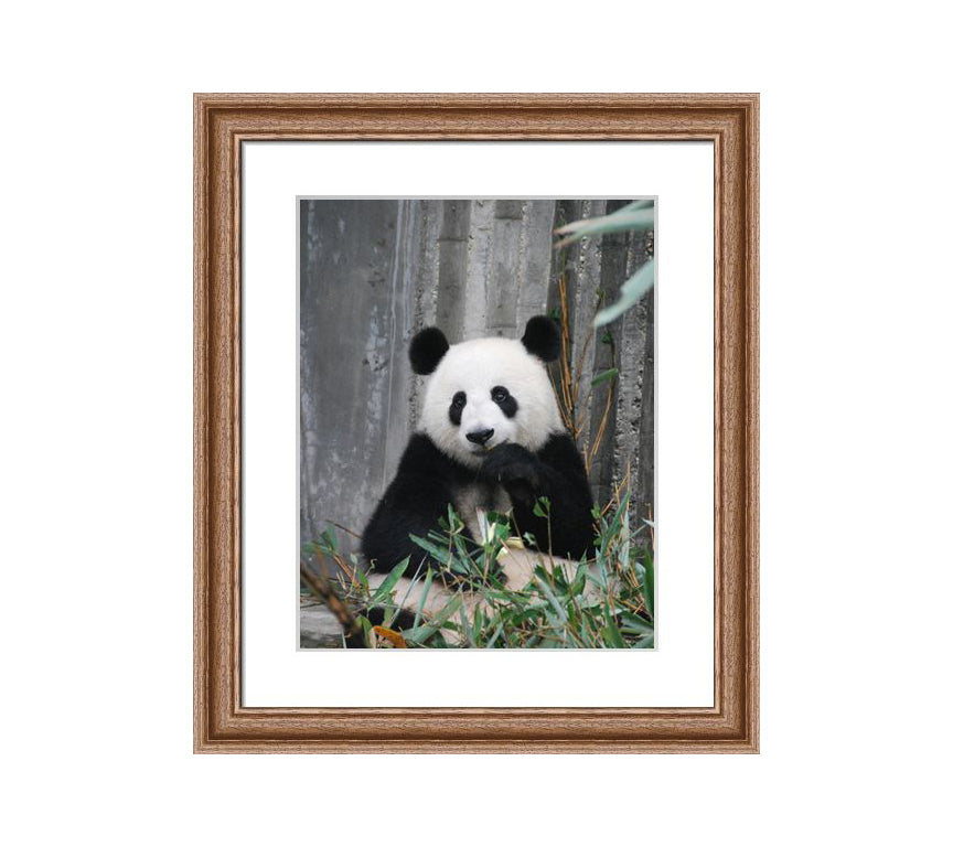 102 brown wooden frame