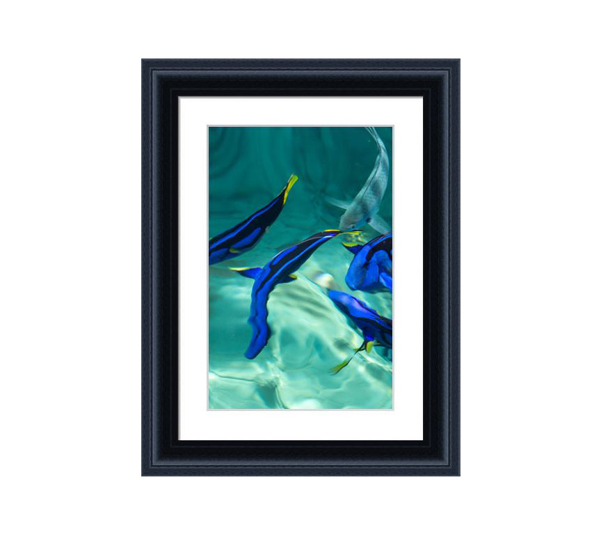 152 black wooden frame