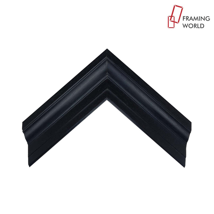 305 Molding Product