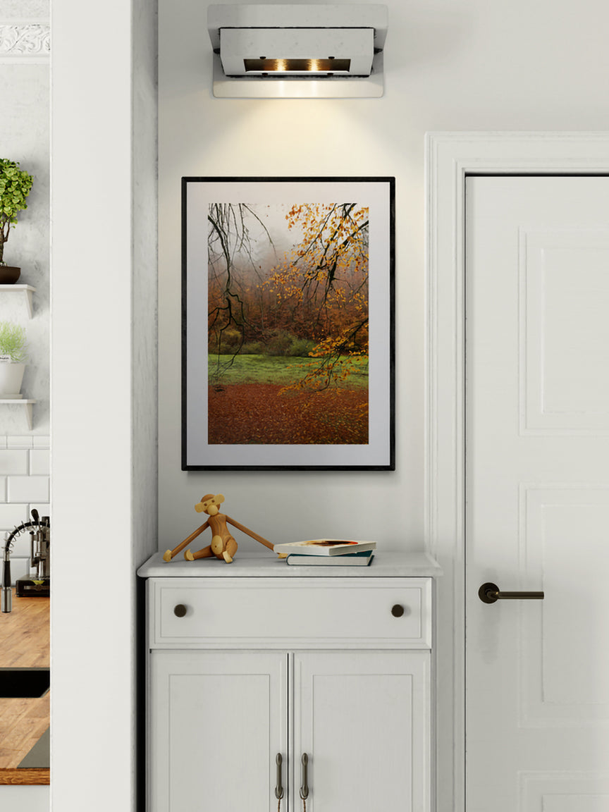 Velvet Autumn