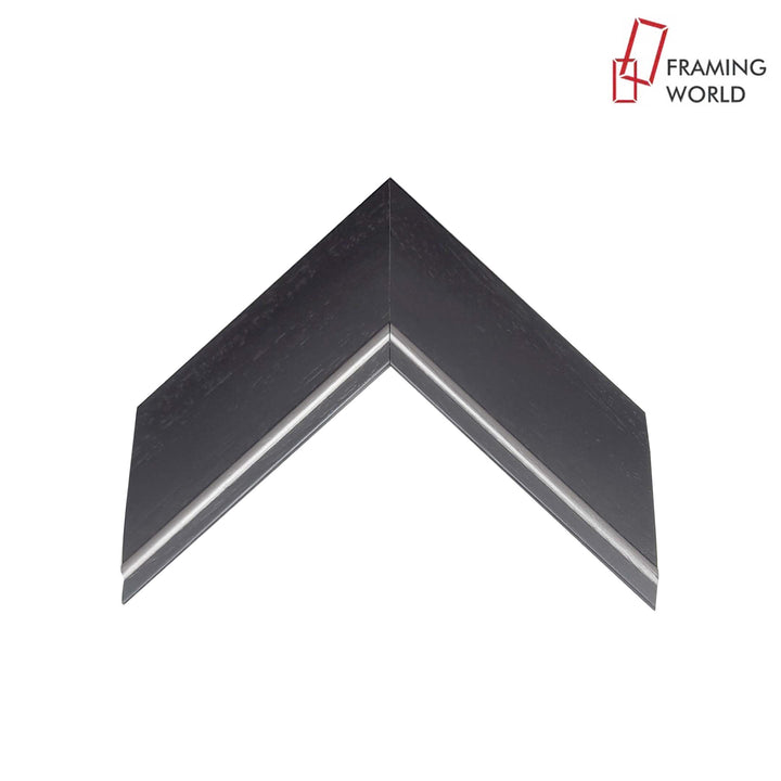 301 Molding Product