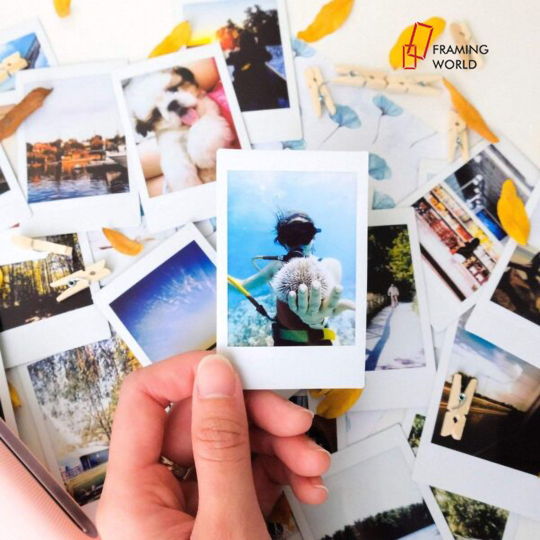 Poloroid Prints