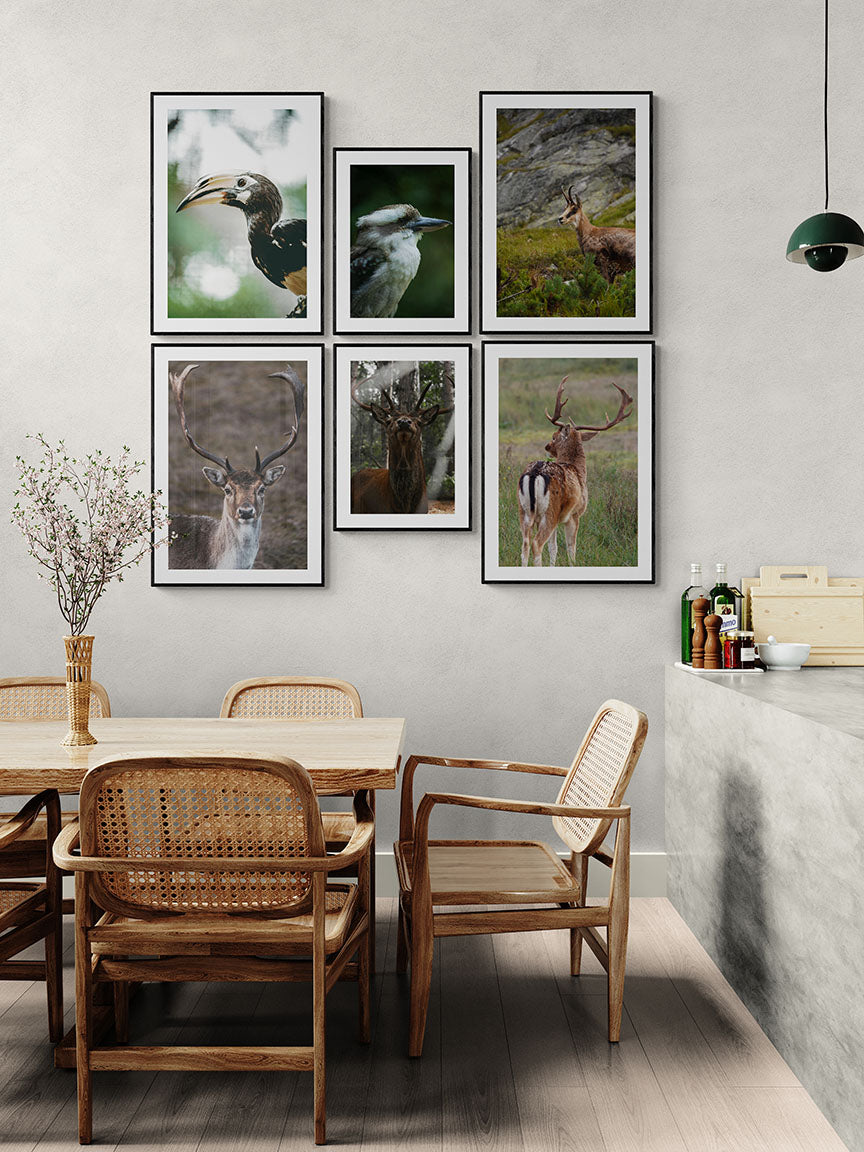 Whispers of the Wild