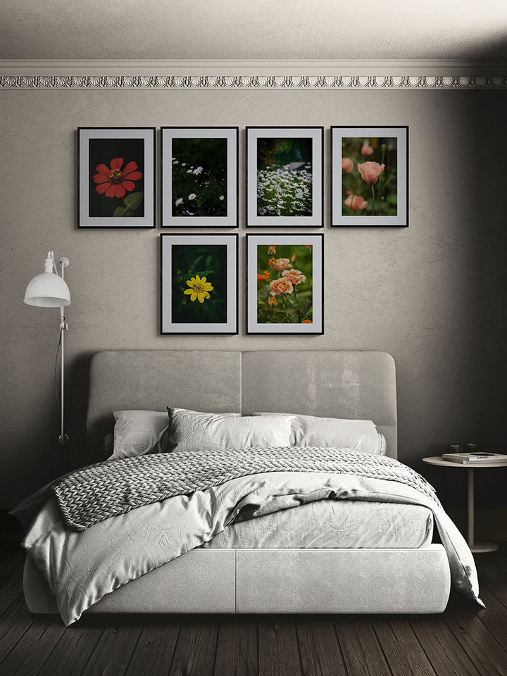 Jardin Noir