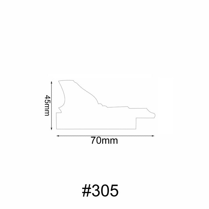305 Molding Product