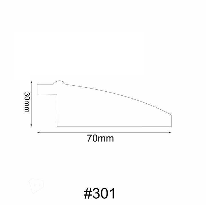 301 Molding Product